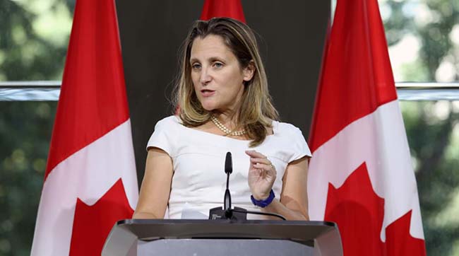 ​У МЗС Канади прокоментували фейкові вибори в ОРДЛО