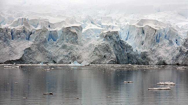 ​Найбільший у світі айсберг доплив до екватора