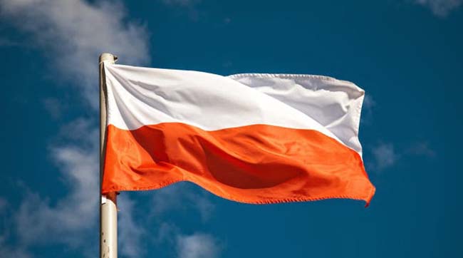 ​Польща обіцяє відновити пам’ятник у Грушовичах