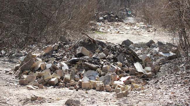 На Трухановому острові екологи виявили стихійне звалище побутових відходів