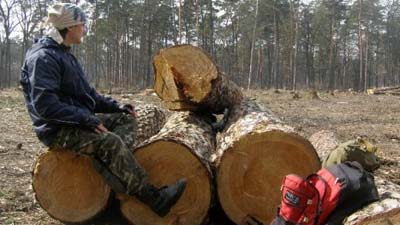 Екологи: лісники винні у знищенні більшості видів Червоної книги України