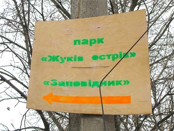 Повторний дерибан 114 га лісу у Києві