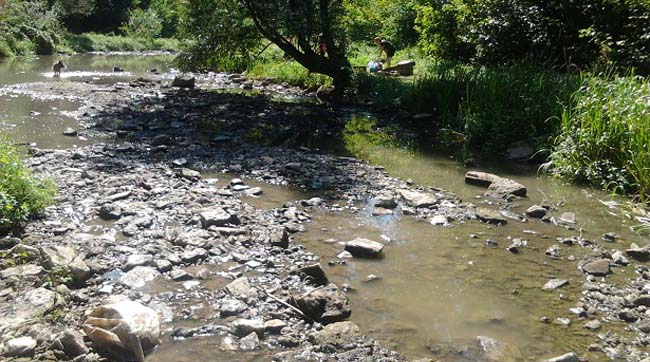 В Кам’янці-Подільському річка лишилась без води