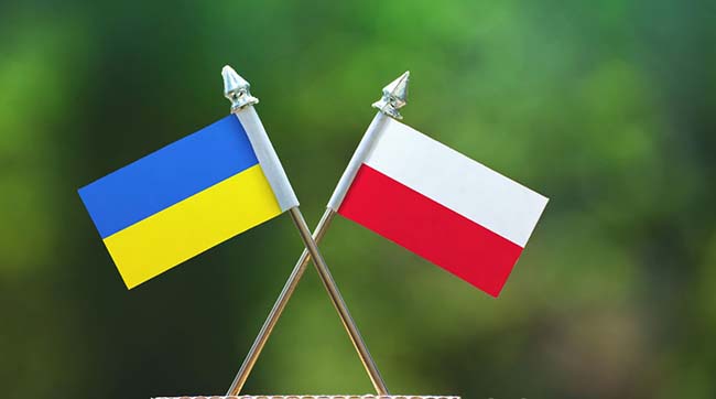 ​Польські й українські скаути віддали шану воїнам УНР