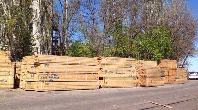 ​У Києві попередили нелегальний вивіз за кордон лісу на суму майже 100 тис доларів США