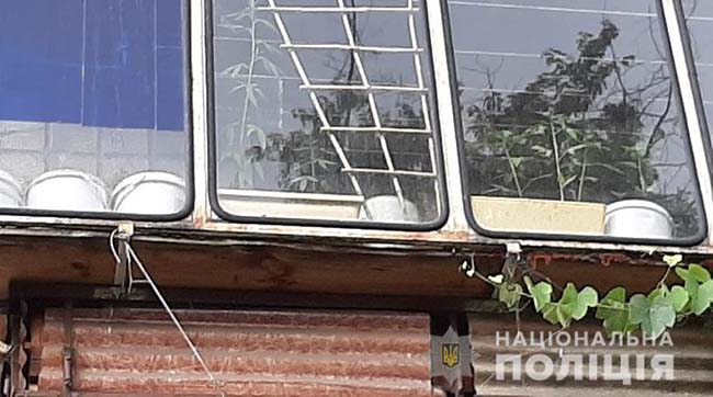 ​У Києві правоохоронці викрили «наркоаграрія», який вирощував на балконі коноплю