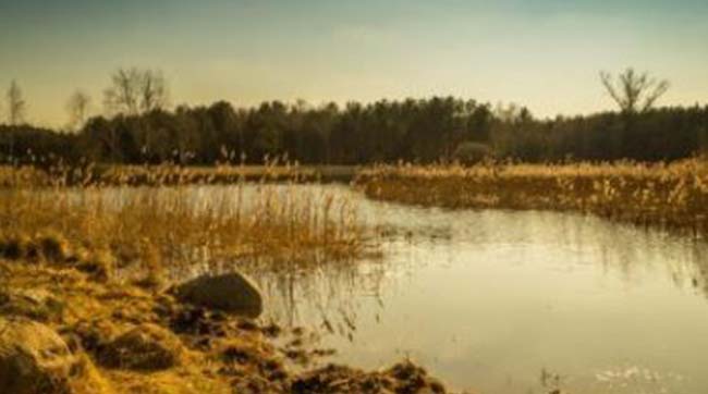 ​У Польщі українку двічі врятували від утоплення в одному й тому ж озері