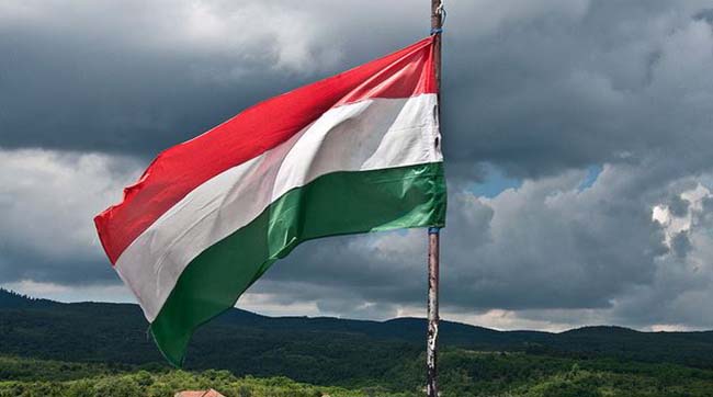 ​Угорщина проти українського закону про мову