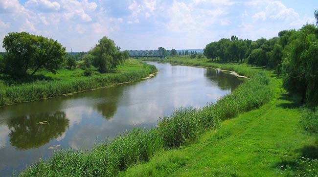 ​Поліція відкрила кримінальне провадження за фактом забруднення водойми на Вінниччині