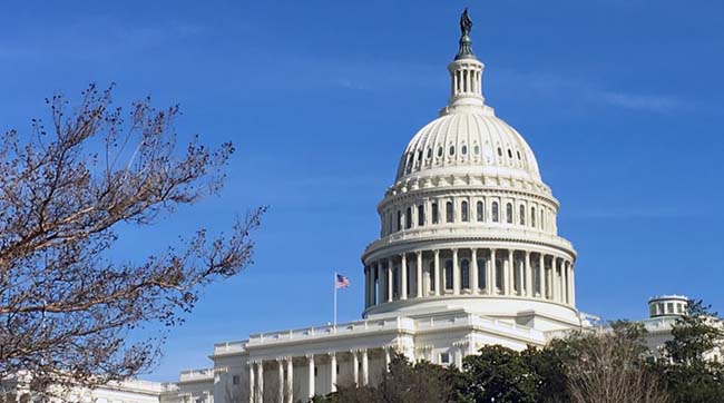 ​Палата представників США проголосувала за невизнання анексії Криму росією