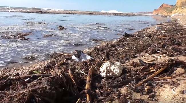 ​Крым - разбитые, закрытые и очень грязные… пляжи