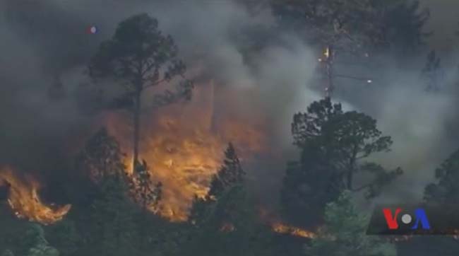 ​Три масштабні пожежі охопили національні парки та ліси у Флориді