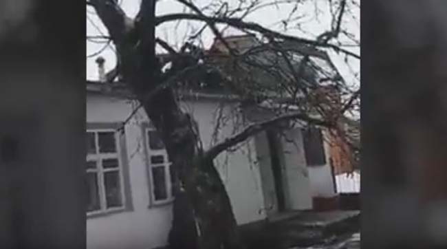 ​Як при януковичі - на Київщині підпалили офіс партії «РУХ НОВИХ СИЛ»