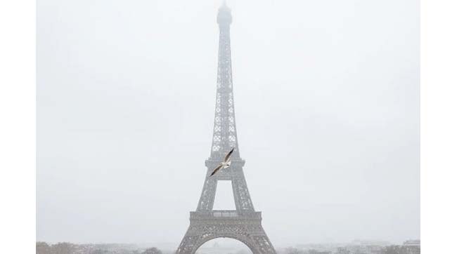 ​Союзники України завершують підготовку плану гарантій - документ готують для презентації під час зустрічі «Коаліції охочих»