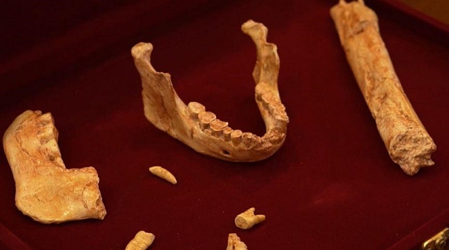 ​У Марокко виявлено людські скам'янілості віком близько 773 тисяч років