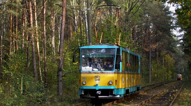 У Києві рейдери безпрецедентно роздерибанили найбільший у місті ліс