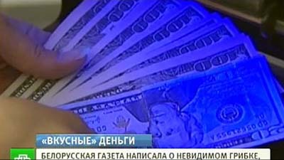 В Белоруссии от неведомого грибка гниют американские доллары