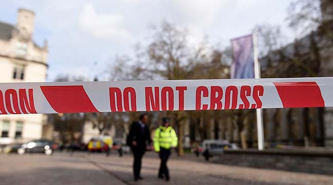 ​У Лондоні розслідують напад на поліцейських перед Букінгемським палацом