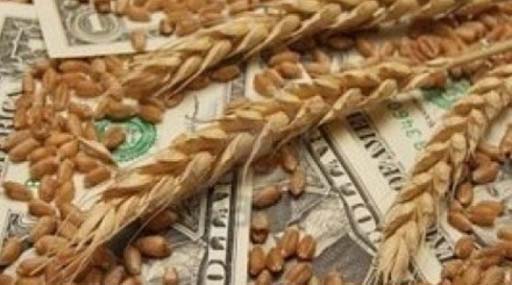 Відкрито кримінальне провадження за фактом незаконного посягання на арештоване зерно «Агрейну»