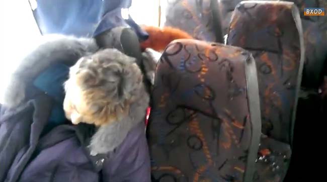 Под Волновахой террористы расстреляли автобус с мирными жителями