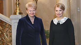 Після зустрічі з Тимошенко президент Литви хоче серйозно поговорити з Януковичем