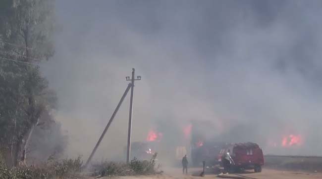 Екологи ЕПЛ радять евакуювати людей із зони пожежі під Васильковом