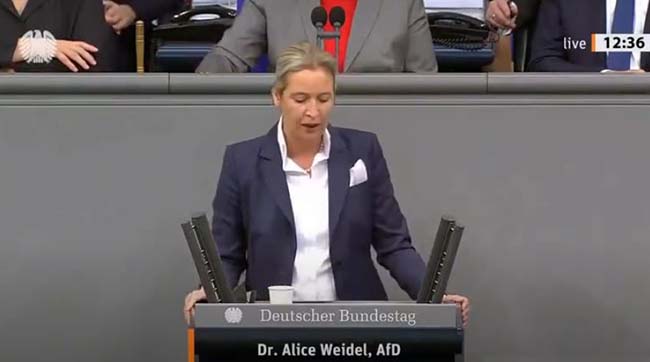 ​Захист прав людини: виступ Аліс Вайдель у парламенті Німеччини