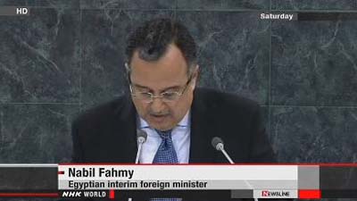 Министр иностранных дел Египта оправдывает репрессии