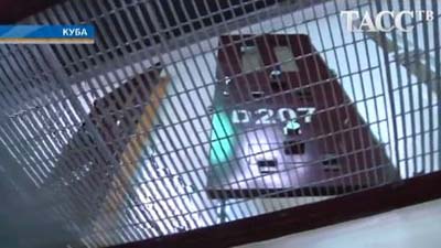Заключенные Гуантанамо объявили голодовку
