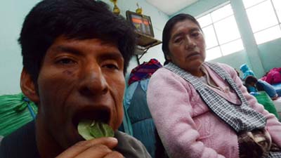 Боливийцам разрешила жевать листья коки, несмотря на протест Путина