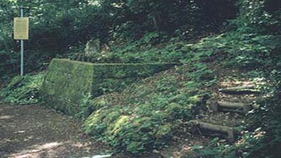 Власти Тюрингии вскроют могилу «графини тьмы» - предполагаемой наследницы французских королей 