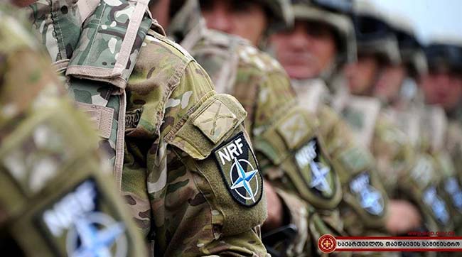 У Грузії з'явилася перша сертифікована рота НАТО