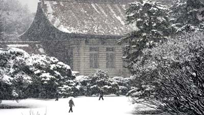 В Японии от обильного снегопада погибло уже восемь человек